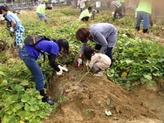 社会福祉法人 豊中市母子寡婦福祉会